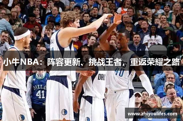 小牛NBA：阵容更新、挑战王者，重返荣耀之路