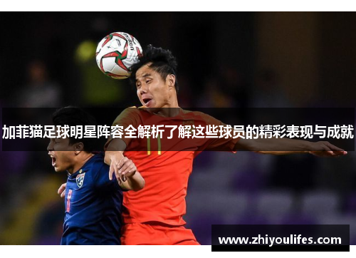 加菲猫足球明星阵容全解析了解这些球员的精彩表现与成就